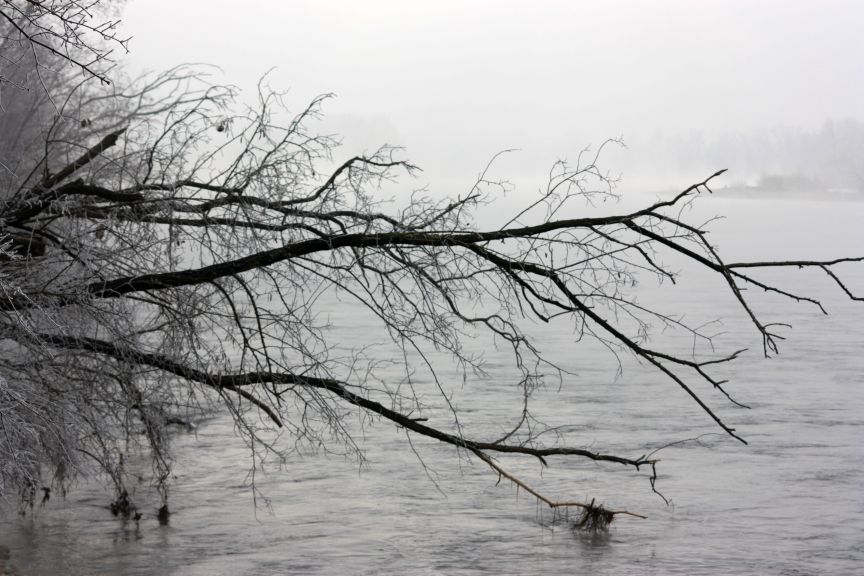 il fiume , la nebbia, l''inverno....